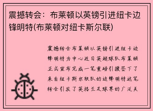 震撼转会：布莱顿以英镑引进纽卡边锋明特(布莱顿对纽卡斯尔联)